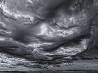 asperatus