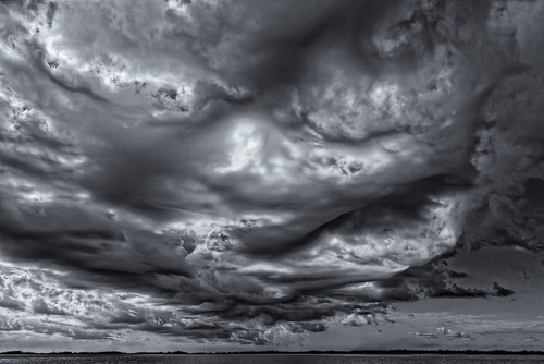 asperatus